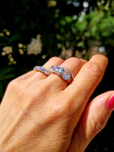 Anello trilogy amati